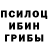 Галлюциногенные грибы GOLDEN TEACHER Boris4ick