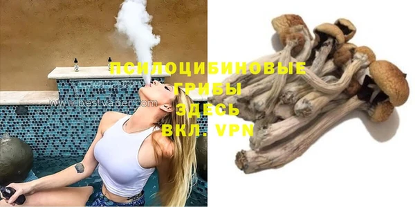 а пвп мука Инта