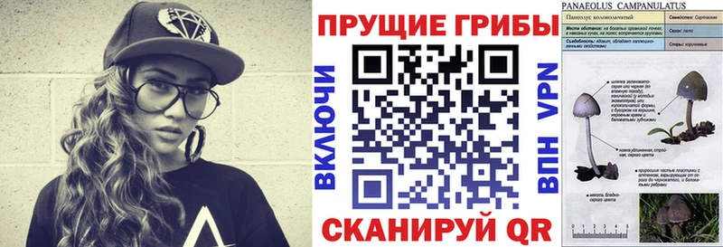 Купить  Красный Сулин  Галлюциногенные грибы мицелий 